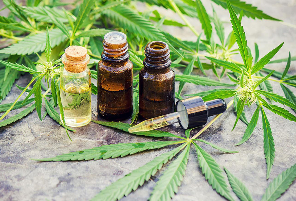 La lente révolution française du cannabis médical (2000–2025)