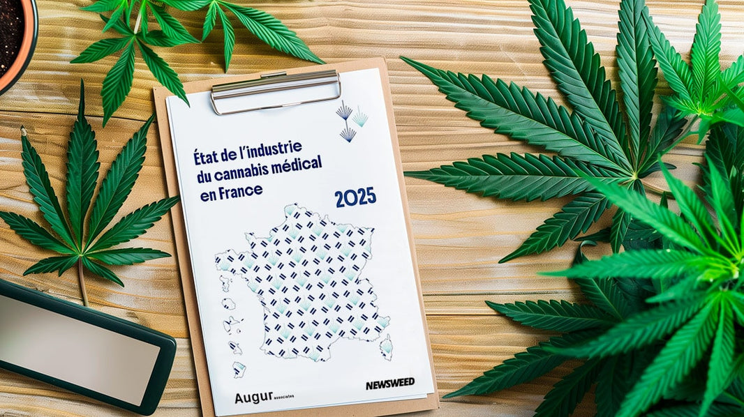 Bilan de l’expérimentation du cannabis médical en France (2021–2025)