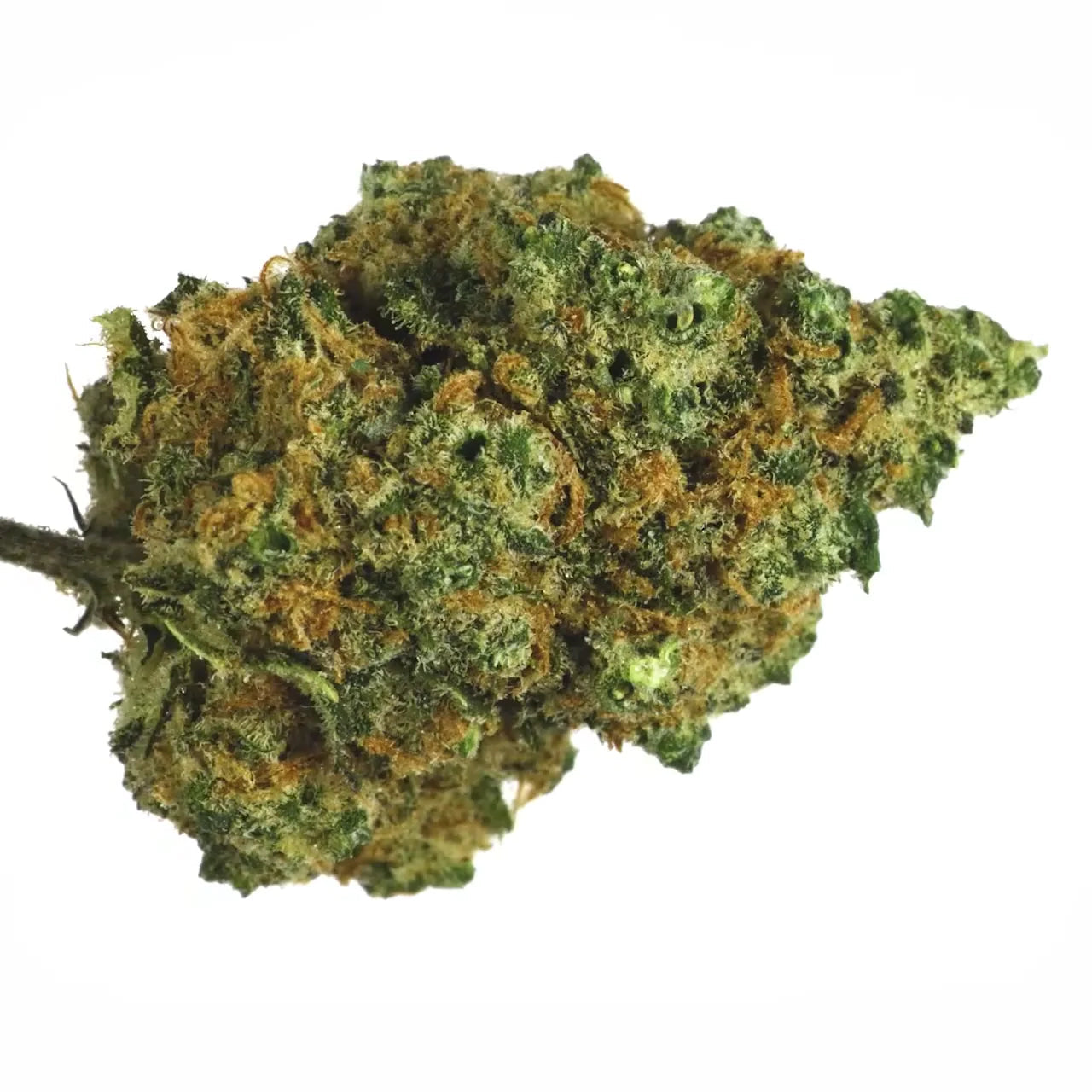 enua Pharma Busy Animal