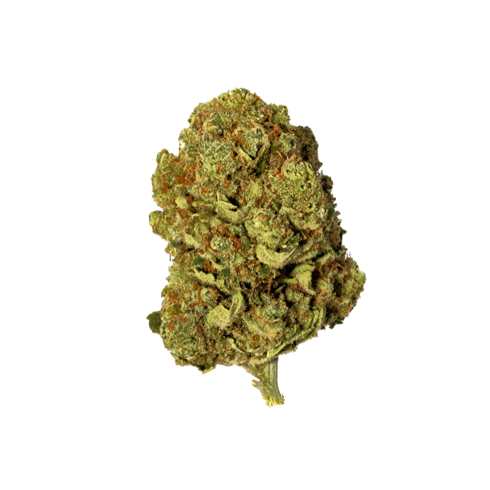 Demecan Moonbow 112 IX